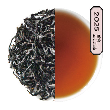 奥八女紅茶 べにふうき 2025 Second Flush 30g＜無農薬・無化学肥料＞