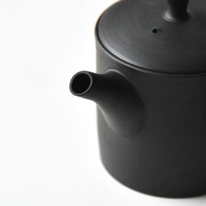 Gyokko Kittate kyusu(Special order from kiwaha)